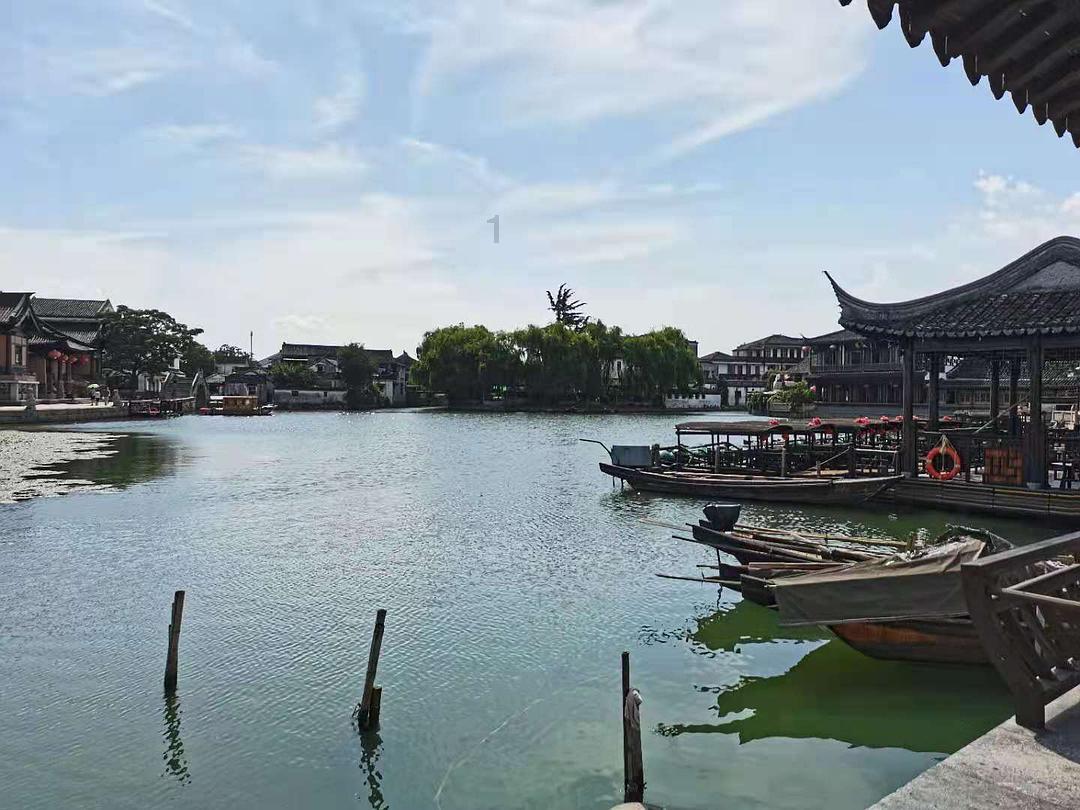 开启“人宠社交”视角，《可爱的旅行》为“宠物友好”解锁生活指南